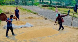 पर्वतमा ६५ करोडको कृषिजन्य वस्तुको कारोबार