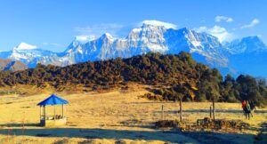 सडक नखुल्दा जलजला पुग्न पाएनन् पर्यटक