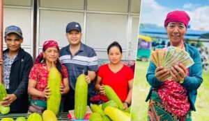 मादले काँक्रोखेतीतर्फ आकर्षण बढ्दै