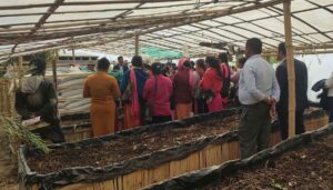 जैविकखेती प्रवर्द्धन गर्न गड्यौला मल उत्पादनमा जोड