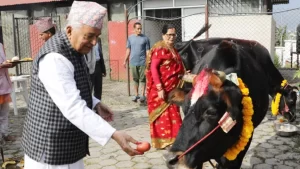 राष्ट्रपति पौडेलद्वारा गाई पूजा
