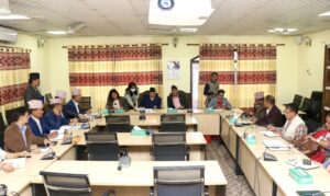 सभामुख बैठकः प्रदेश कानुनका व्यवस्था सङ्घीय सरकारले हटाउन नमिल्ने