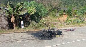 सिन्धुलीमा सवारी दुर्घटना : दुईजनाको मृत्यु, चारजना घाइते