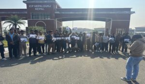 भन्सार एजेन्टको आन्दोलनले जाँच‘पास’ रोकियो