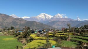 बेनीको तोरीपानीमा सयपत्री ‘होमस्टे’ सञ्चालन