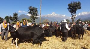 महोत्सवले पर्यटन प्रवर्द्धनसँगै अर्थतन्त्र चलायमान