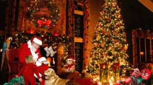 डिसेम्बर २५ : ‘क्रिसमस डे’ मनाइँदै