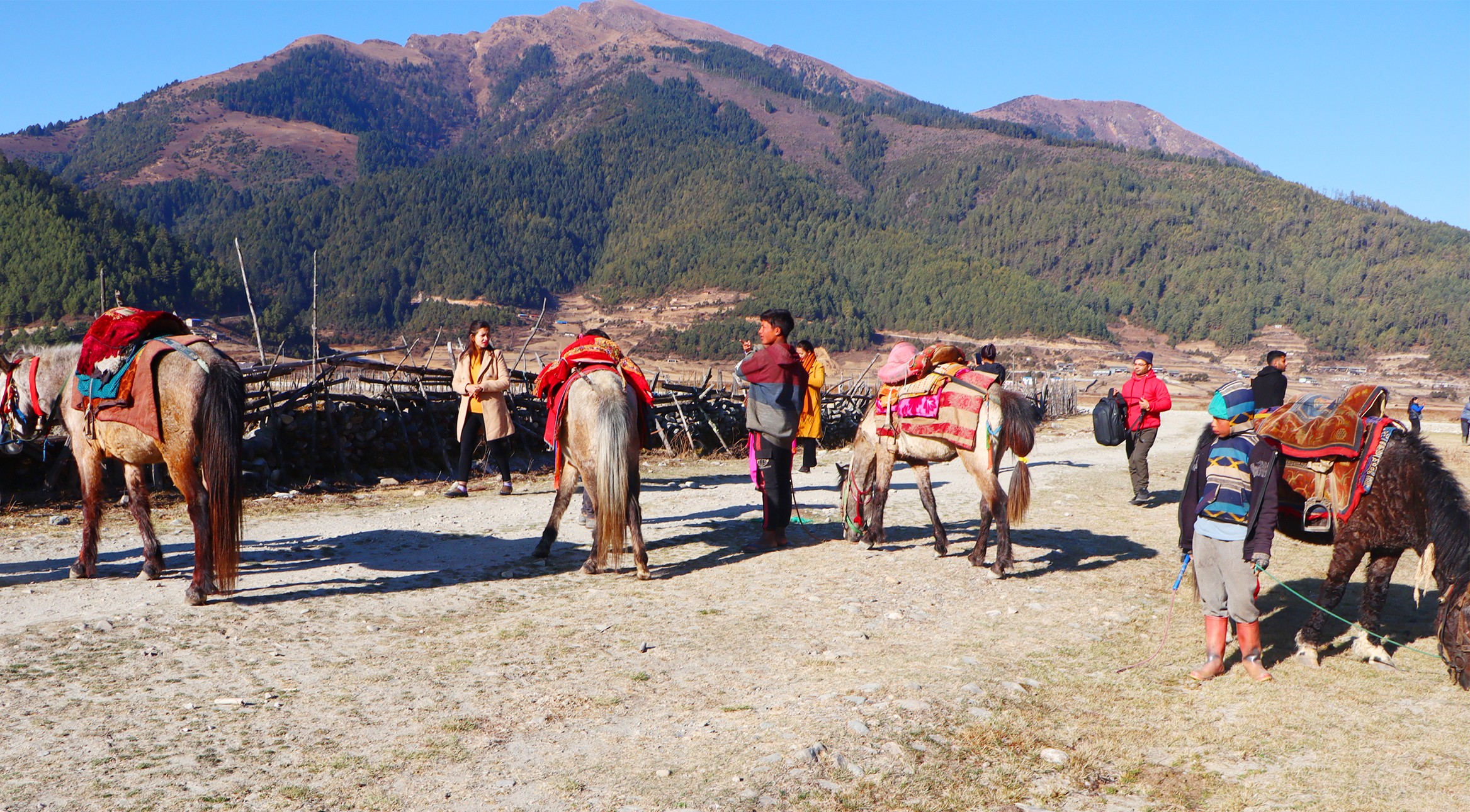 चिसो याममा पनि ढोरपाटनमा पर्यटकको चहलपहल