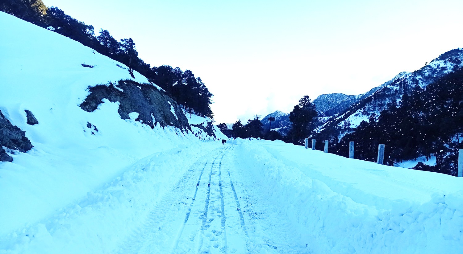 भारी हिमपातले मध्यपहाडी लोकमार्ग अवरुद्ध