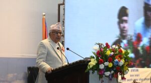 दिगो विकास, समृद्धि र सामाजिक न्यायका लागि राजनीतिक स्थायित्व आवश्यक छःराष्ट्रपति