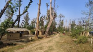 हरेक निर्वाचनमा लालपुर्जाको आश्वासन