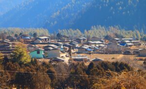 ढोरपाटनमा पहिलोपटक पुग्यो केन्द्रीय लाइन