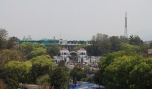 वसन्तको आगमनसँगै काठमाडौँमा छायो हरियाली