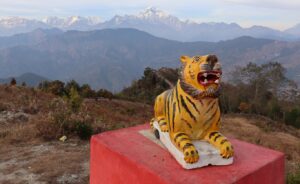 बाघखोरमा बाघको प्रतिमासहितको ‘पार्क’ निर्माण