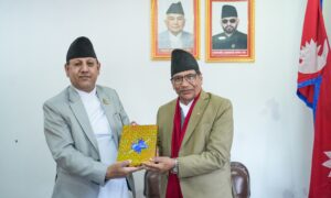 प्रदेश प्रमुखसमक्ष मुस्लिम आयोगको वार्षिक प्रतिवेदन पेस
