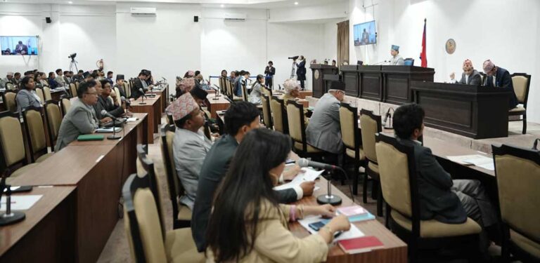 प्रतिनिधिसभाः महँगी र कालाबजारी नियन्त्रण गर्न माग