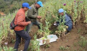 लागुऔषध दुरुपयोग तथा अवैध ओसारपसारविरुद्धको अन्तरराष्ट्रिय दिवस आज