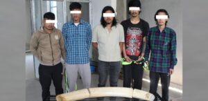 राष्ट्रपति कार्यालयबाट हात्तीका दाह्रा चोर्ने पाँच सार्वजनिक