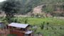 कुलो पुनर्निर्माण नहुँदा चार वर्षदेखि बाँझै छ माझीटार