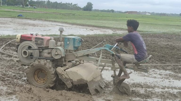 धान रोपाइँमा हराए गोरु र राँगा, बढ्यो ट्याक्टर र पावर टिलरको प्रयोग