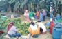 गुन्द्रुकले बदलेको ग्रामीण महिलाको जीवनस्तर