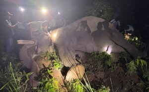 ‘ध्रुवे’लाई ‘रेडियो कलर’ जडान गरेर छाडियो