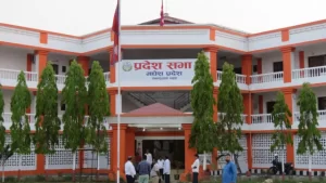 मधेश प्रदेशसभा : बजेटलगायतका समस्या समाधान गर्न कार्यदल गठन
