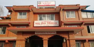 साउन १ गतेदेखि बर्डफ्लुको सङ्क्रमण देखिएको छैन : पशु सेवा विभाग